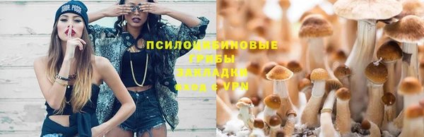 mix Вязьма