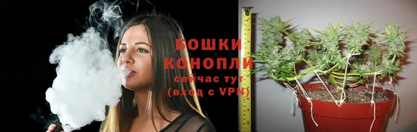 твердый Липки