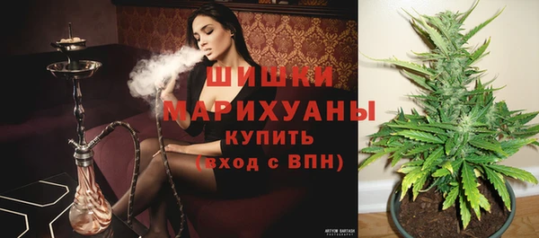 твердый Лиски