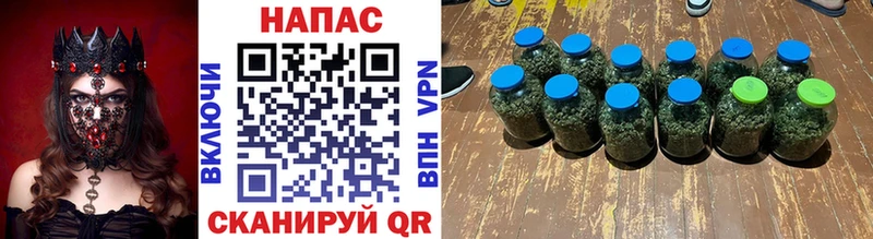 Конопля конопля  Павловск 